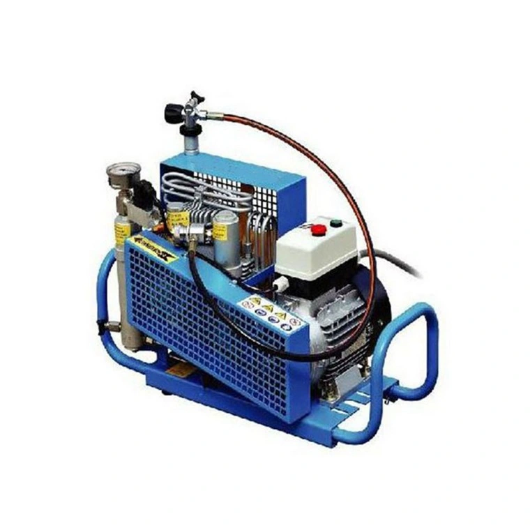 Popular Portable Industry CNG High Pressure Piston Scuba Diving Energy-Saving Air Pump Home Mini Natural Gas Compressor Machine